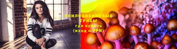 apvp Волоколамск