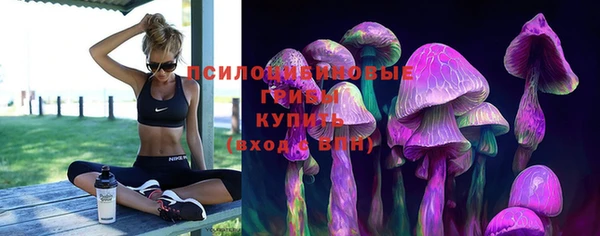 apvp Волоколамск