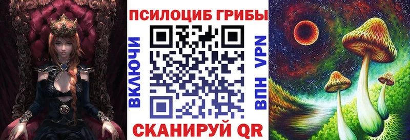 Псилоцибиновые грибы прущие грибы купить наркоту Чишмы